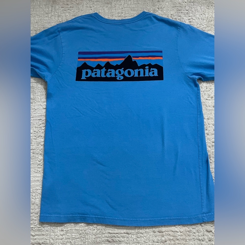 Patagonia Logo Long Sleeve Tee - Picture 5 of 7